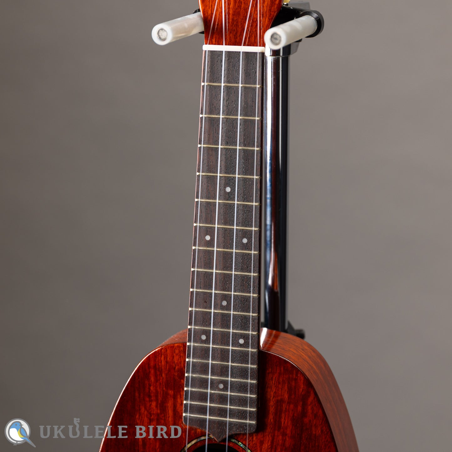 LUNA MV-6SP