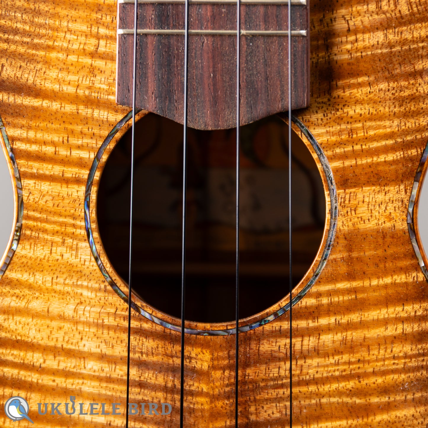 四弦舎 Model-MS350 ソプラノ　カーリーハワイアンコア