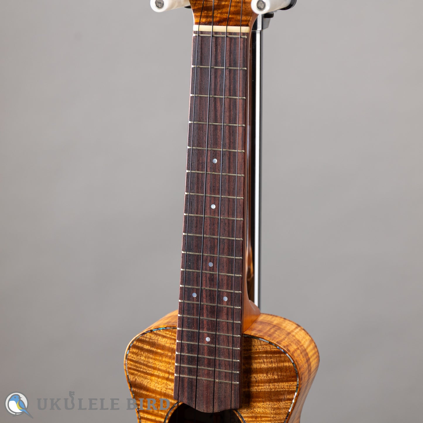 四弦舎 Model-MS350 ソプラノ　カーリーハワイアンコア