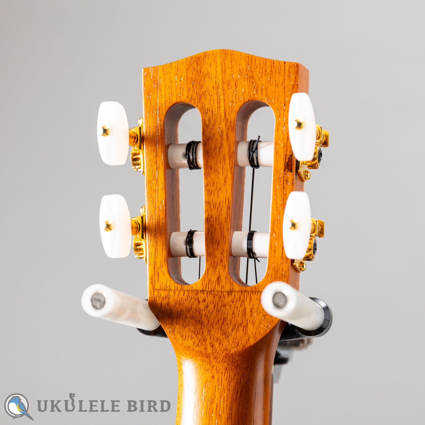 四弦舎 Model-MS350 ソプラノ　カーリーハワイアンコア