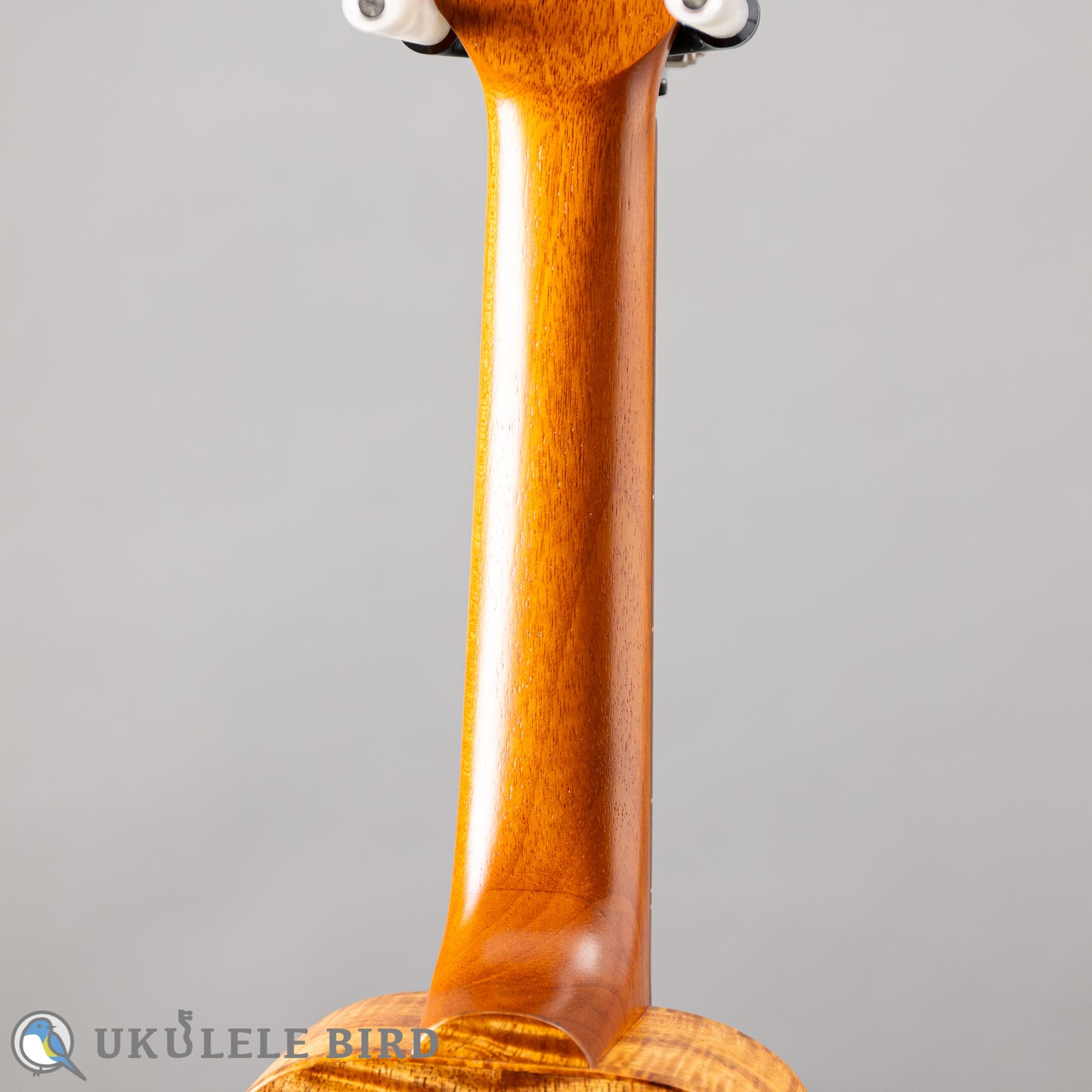 四弦舎 Model-MS350 ソプラノ　カーリーハワイアンコア