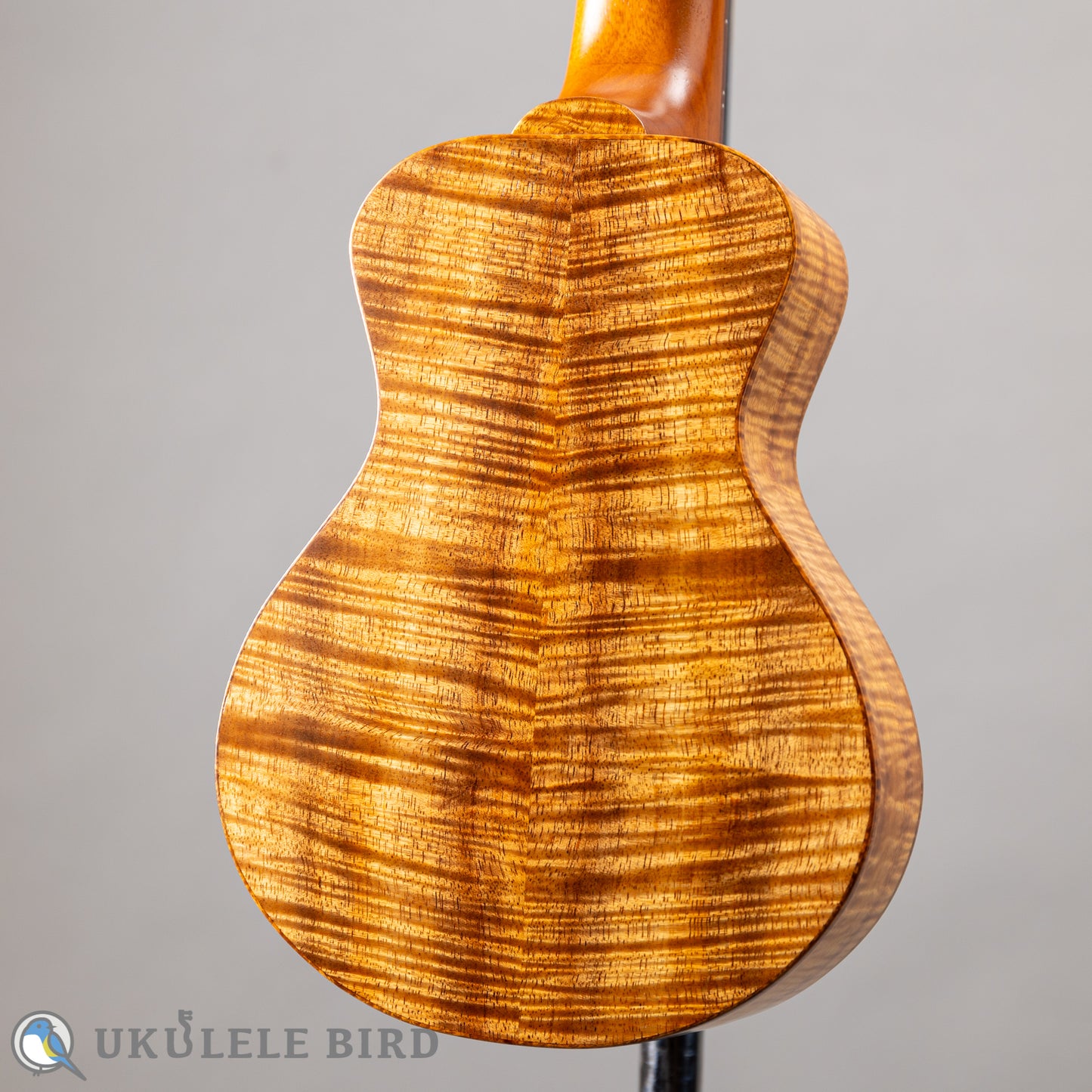 四弦舎 Model-MS350 ソプラノ　カーリーハワイアンコア