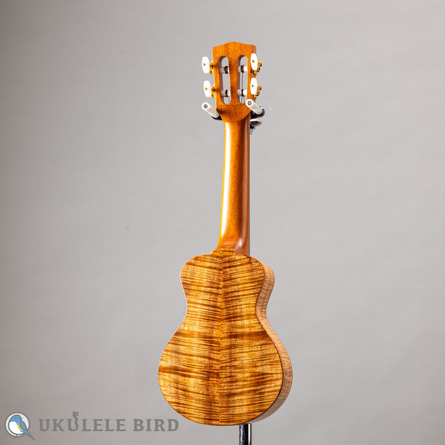 四弦舎 Model-MS350 ソプラノ　カーリーハワイアンコア