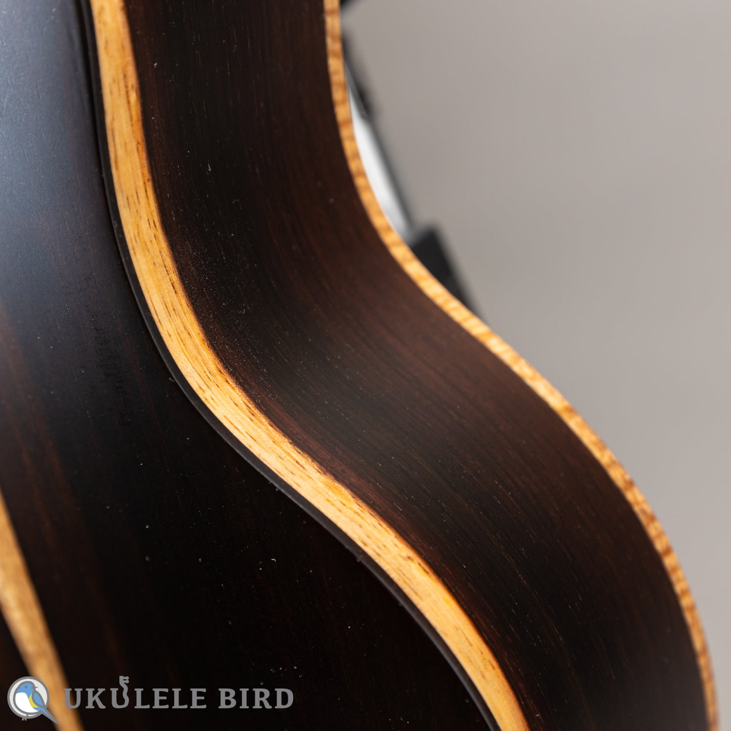 Matsui Ukulele Five-D Laughing Concert
