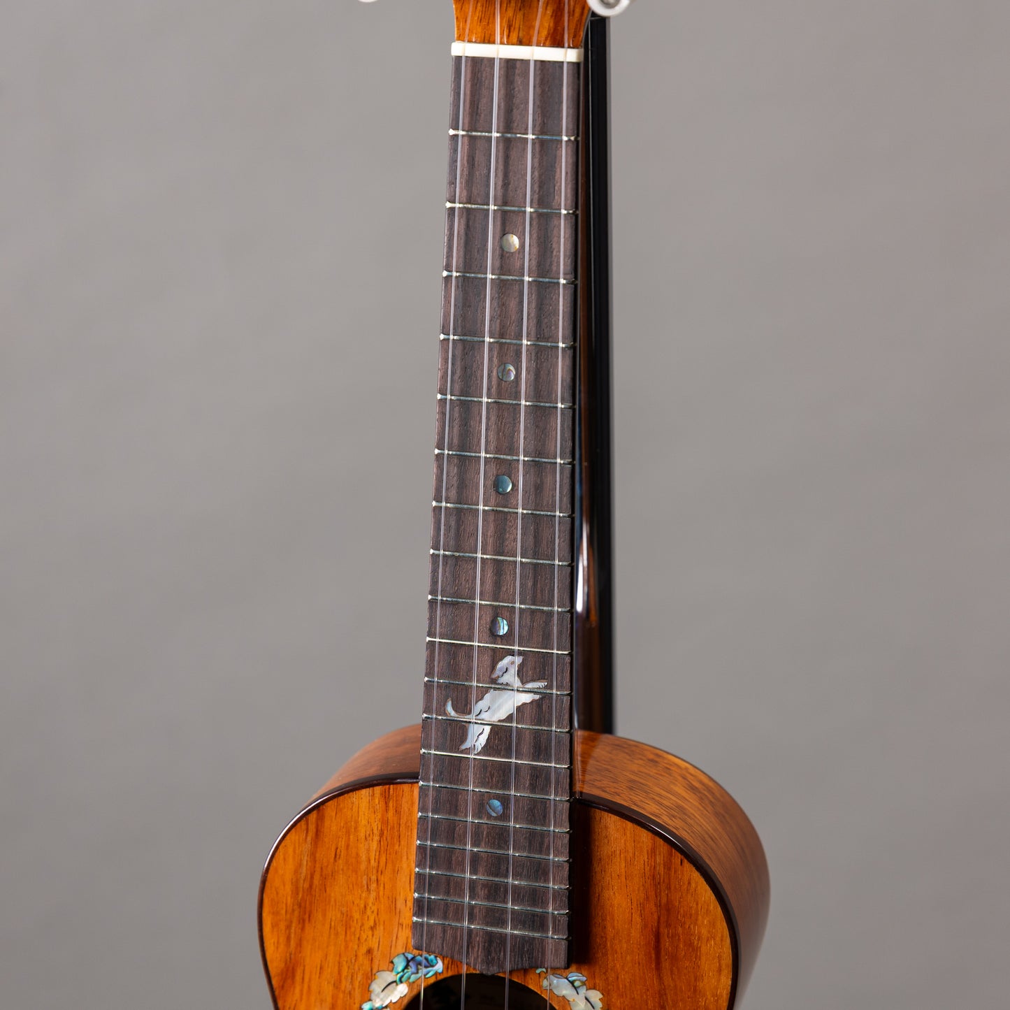 Mon Ami MA-CK Concert Hawaiian Koa Deluxe