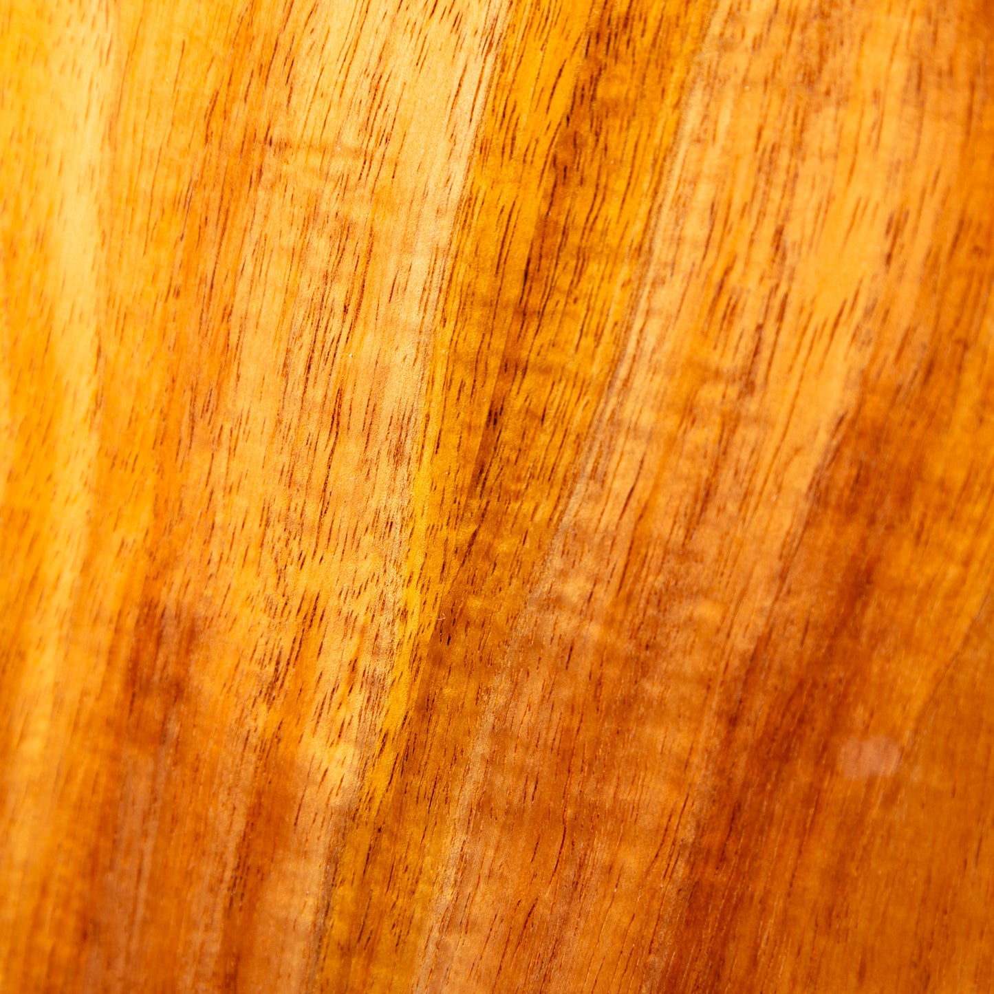 Mon Ami MA-CK Concert Hawaiian Koa Deluxe