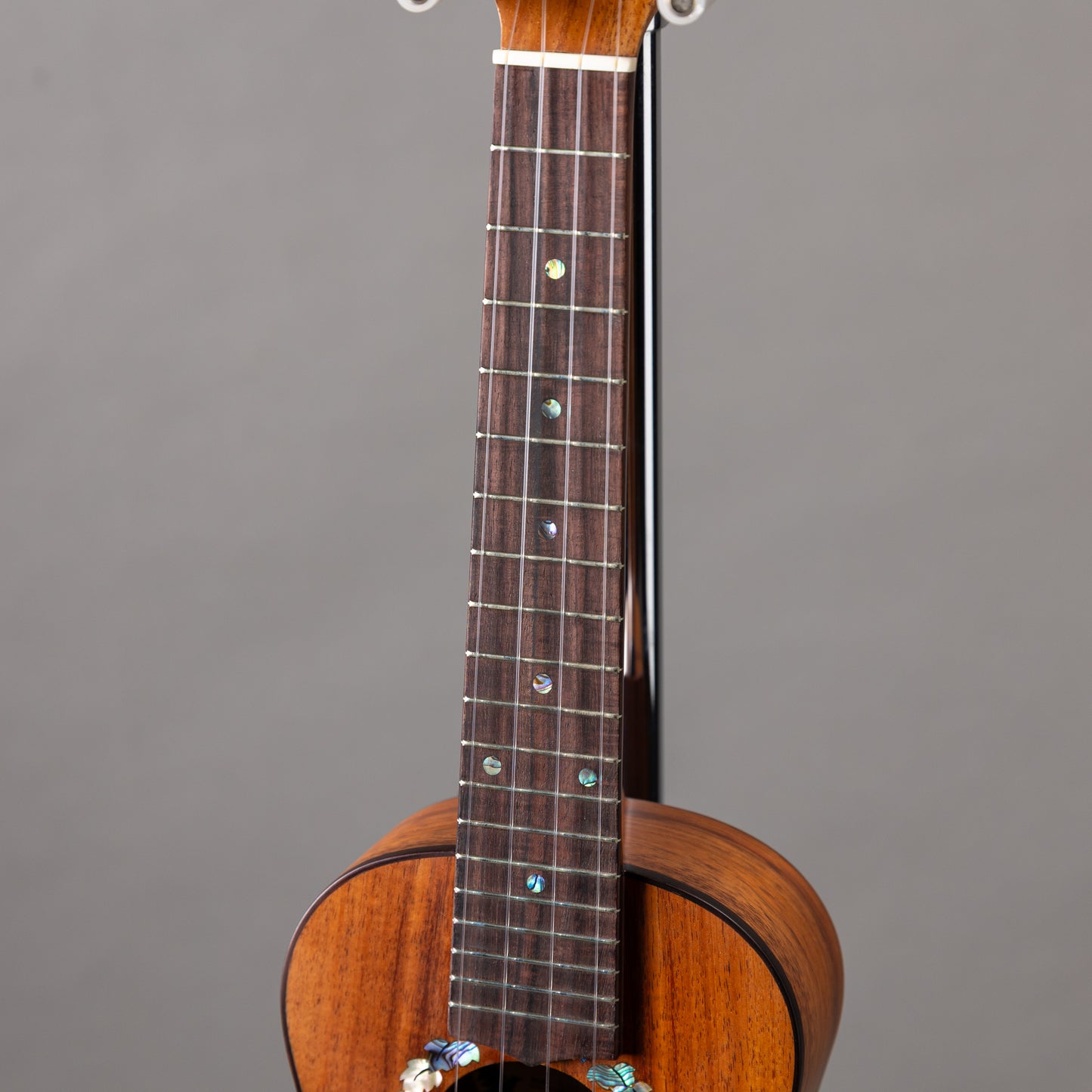 Mon Ami MA-CK Concert Hawaiian Koa