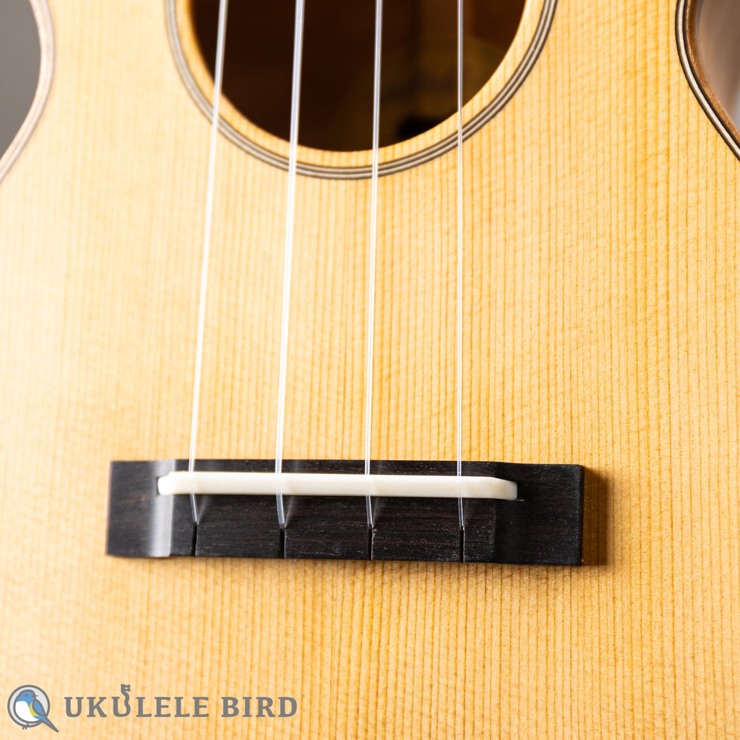 Moodyville Ukulele Torrefied Spruce x Quilted Maple Concert 5th Anni
