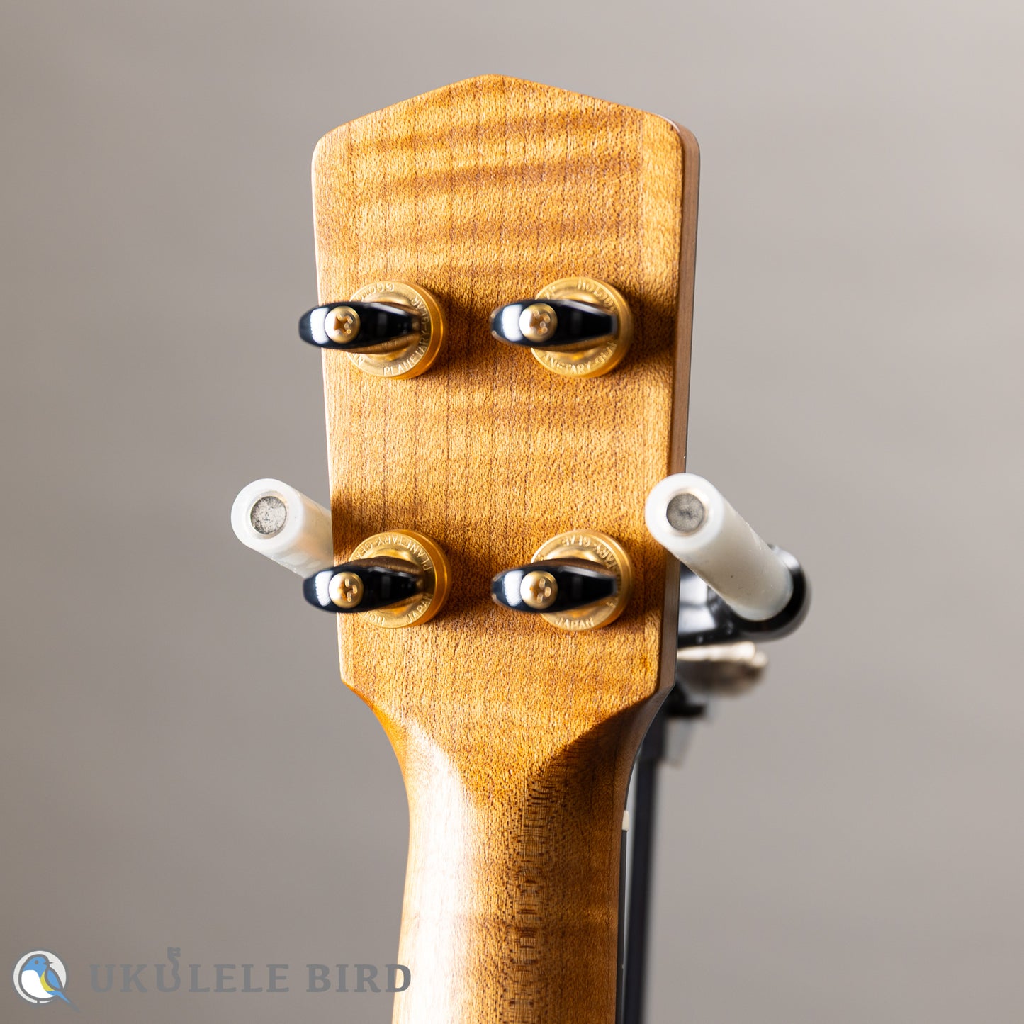 Moodyville Ukulele Torrefied Spruce x Quilted Maple Concert 5th Anni