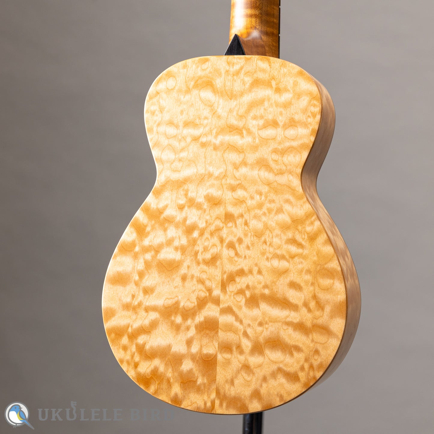 Moodyville Ukulele Torrefied Spruce x Quilted Maple Concert 5th Anni