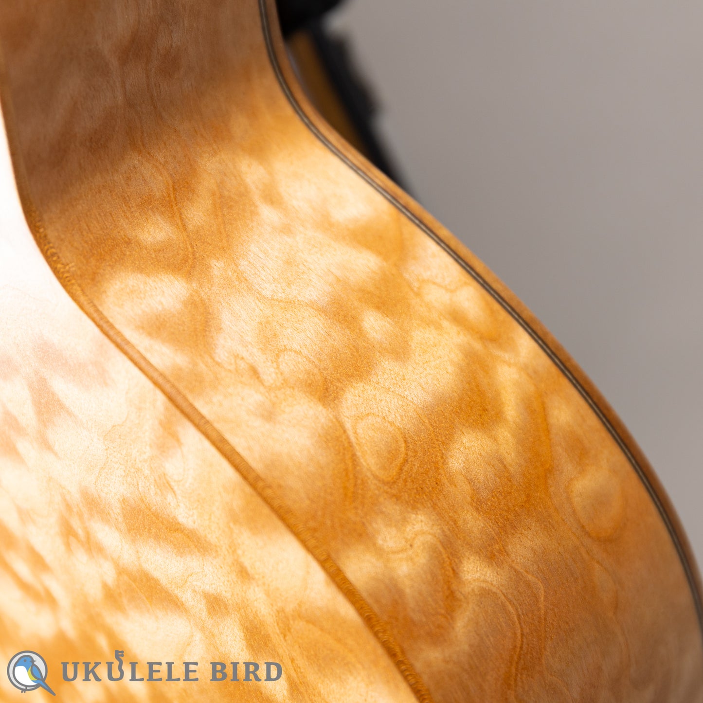 Moodyville Ukulele Torrefied Spruce x Quilted Maple Concert 5th Anni