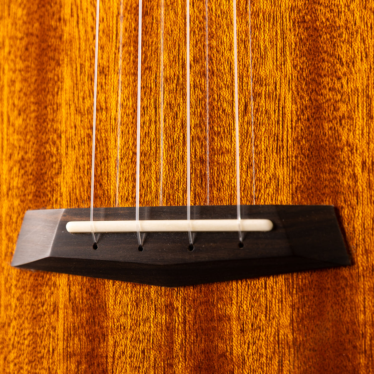 Moodyville Tenor Sapelli Mahogany
