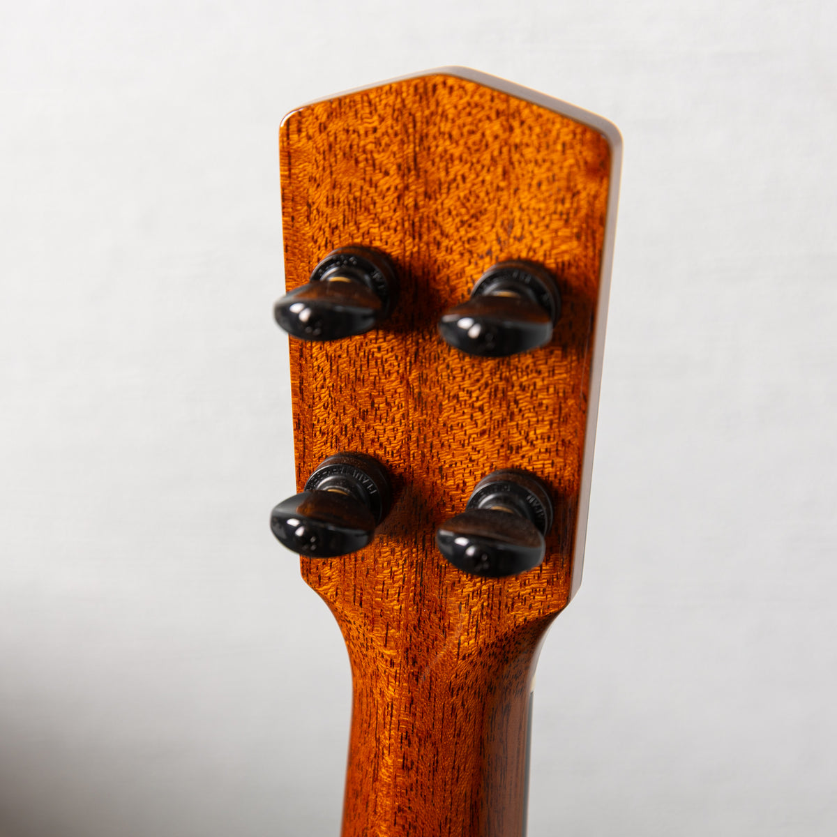 Moodyville Tenor Sapelli Mahogany