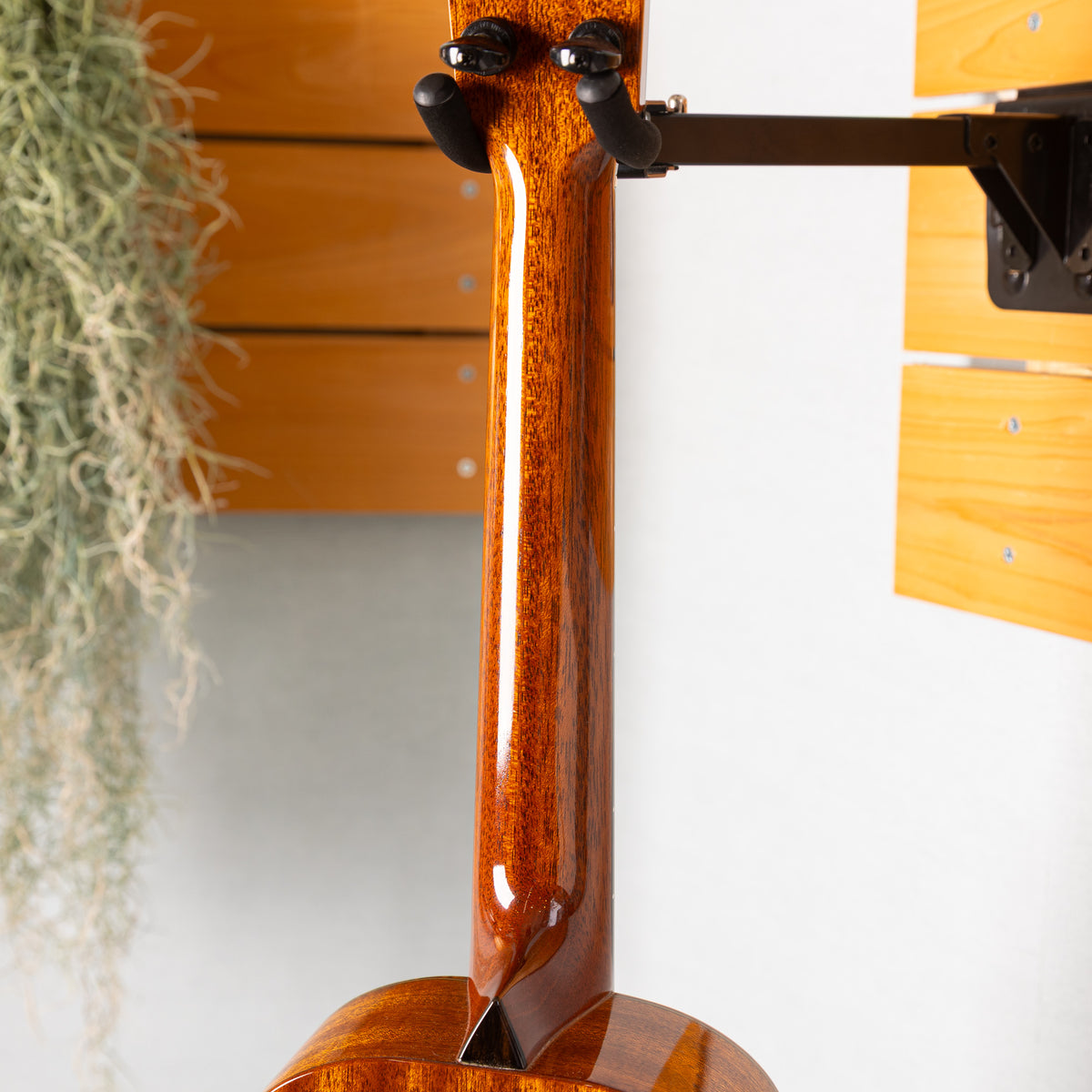 Moodyville Tenor Sapelli Mahogany