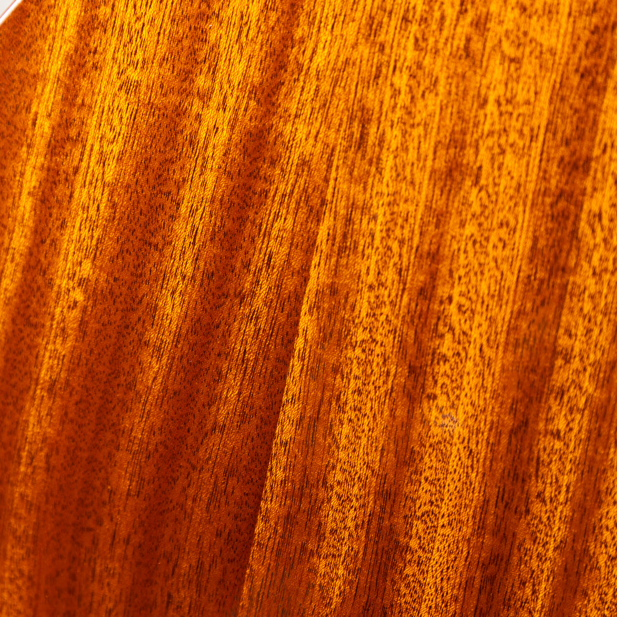 Moodyville Tenor Sapelli Mahogany