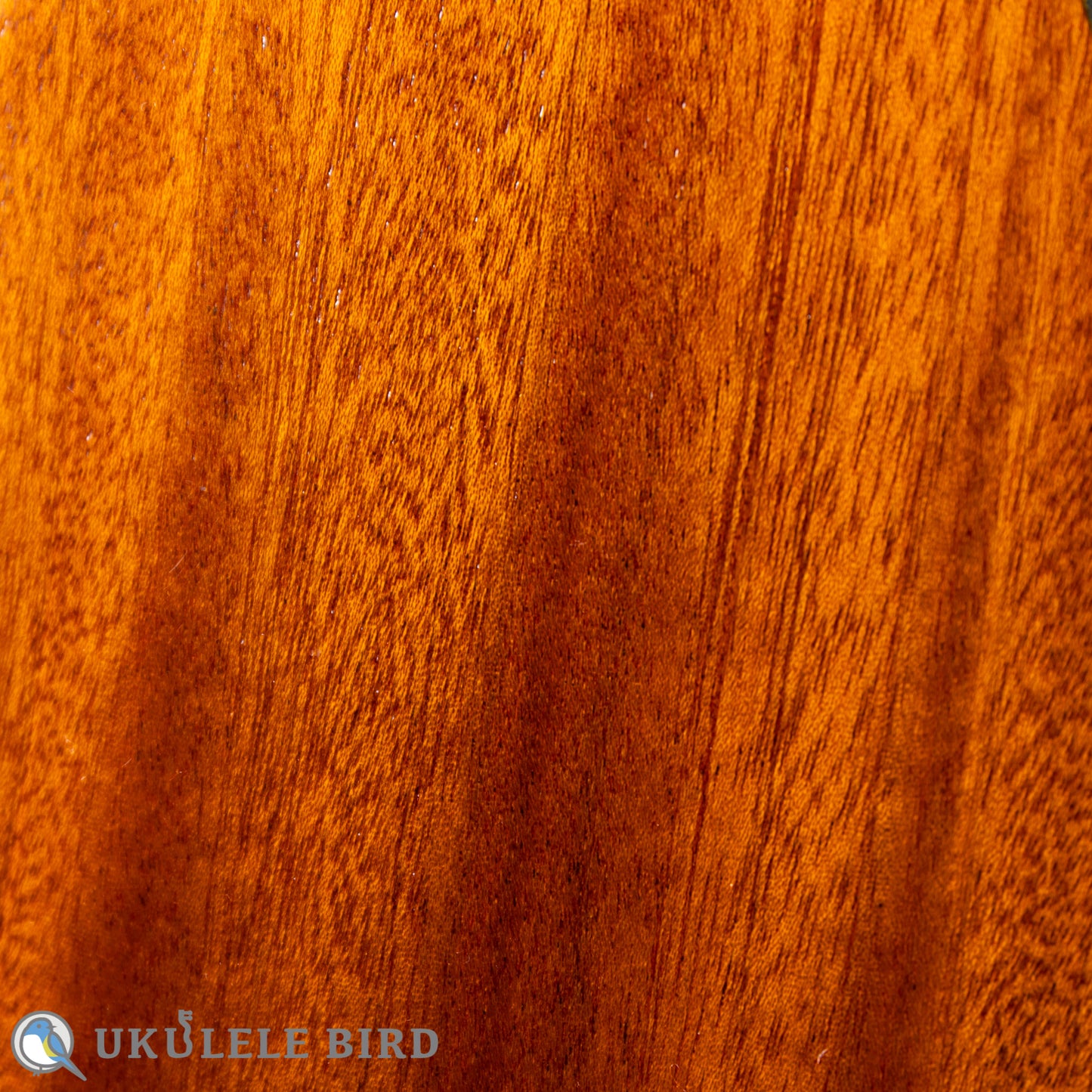 Ohana Ukulele Pequeno Soprano 2024 used