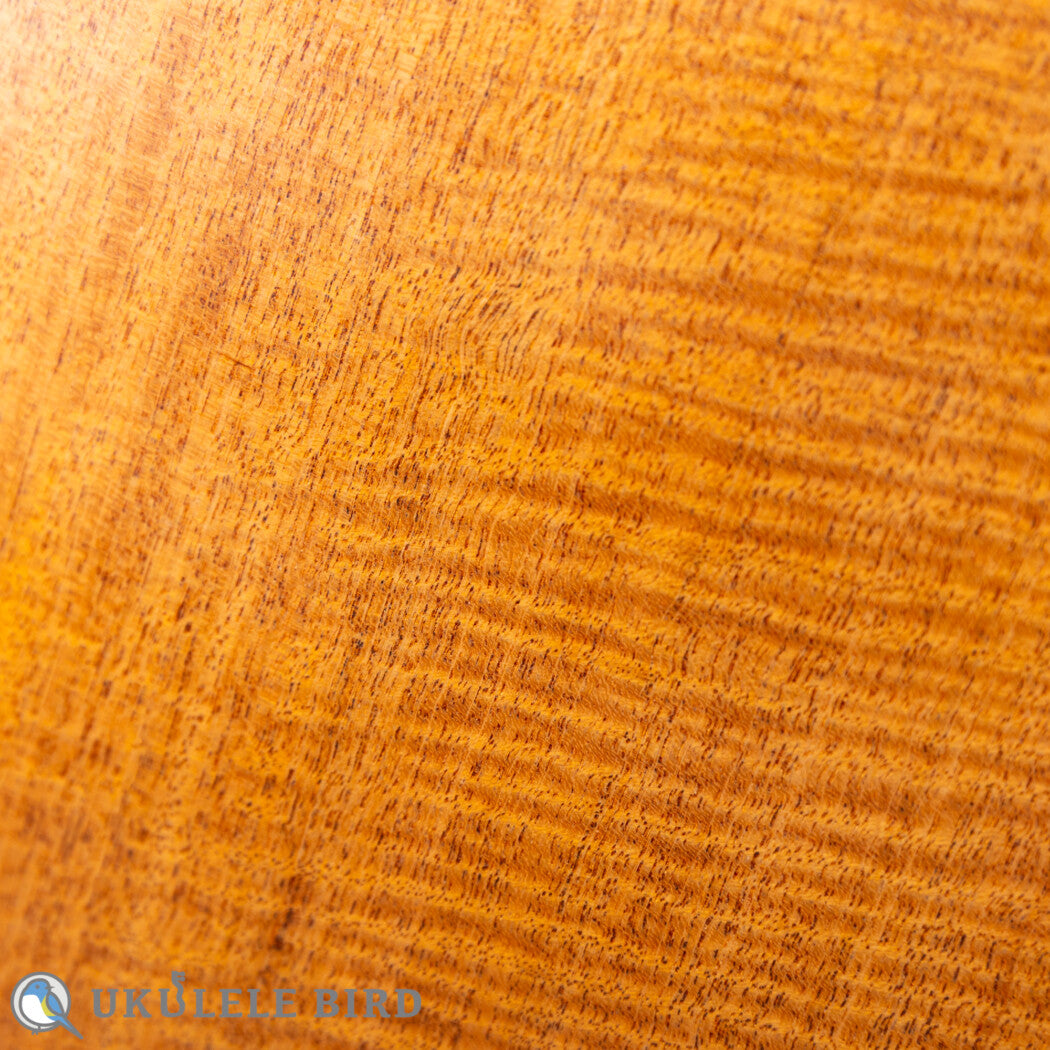 Oulcraft Concert Honduras Mahogany