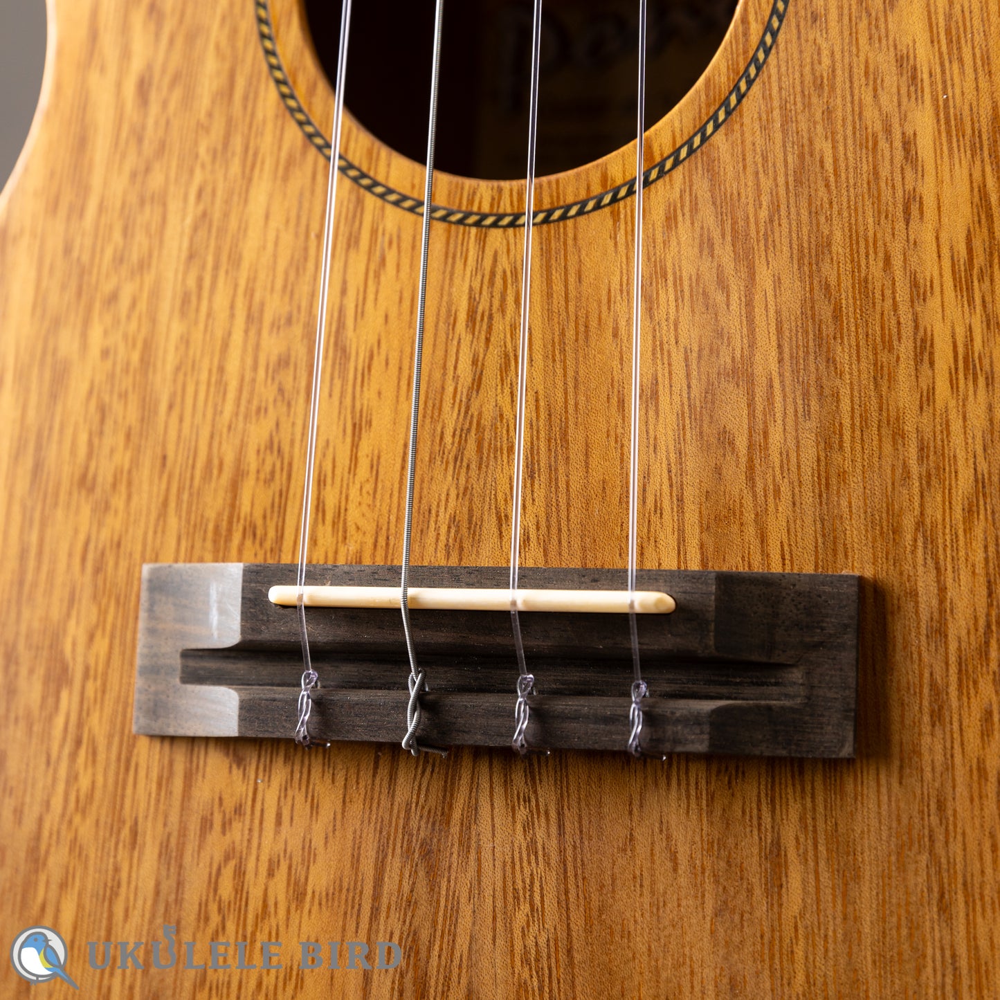 Pono AT Tenor Acacia