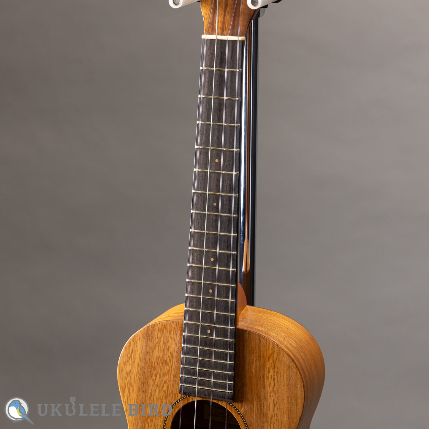 Pono AT Tenor Acacia