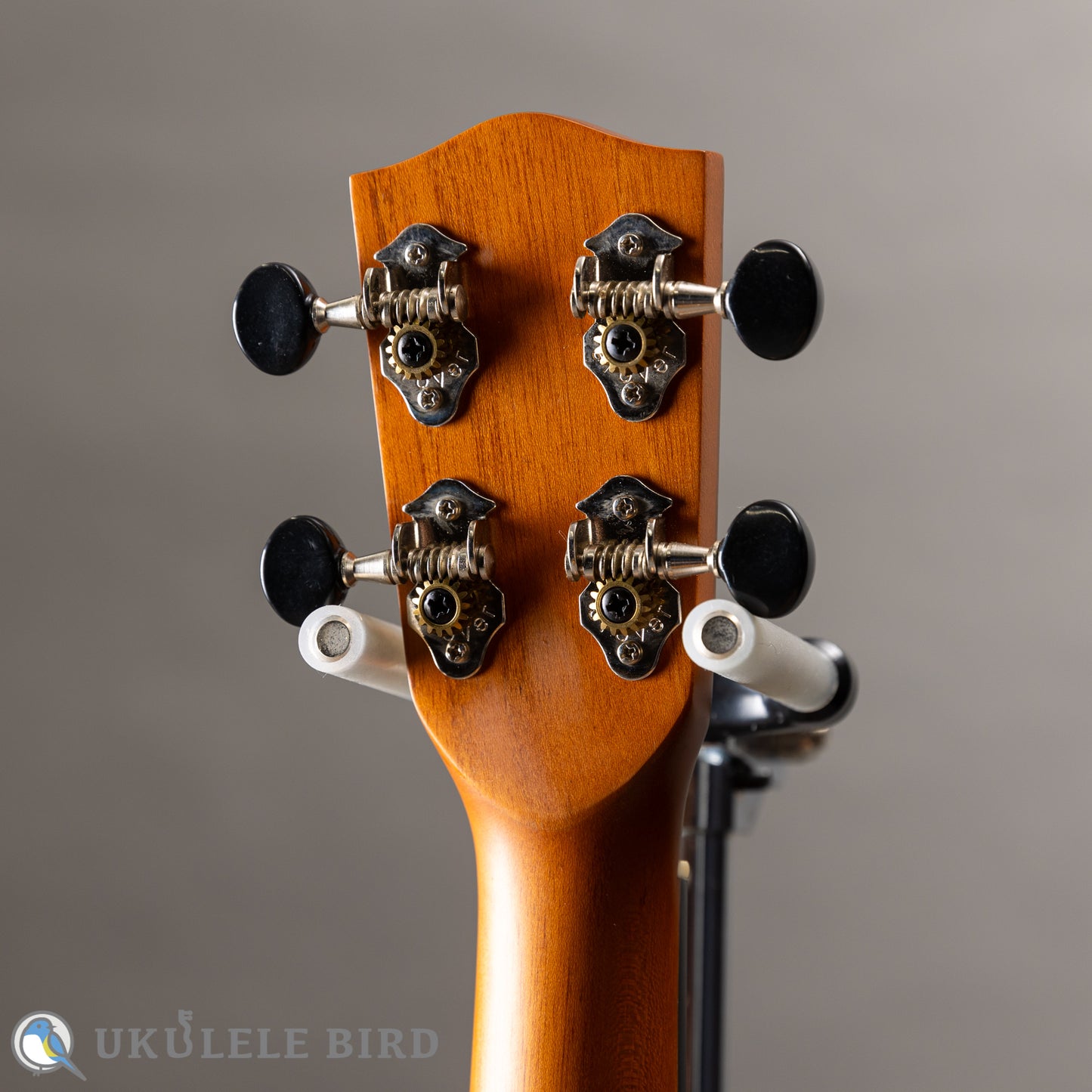 Pono AT Tenor Acacia