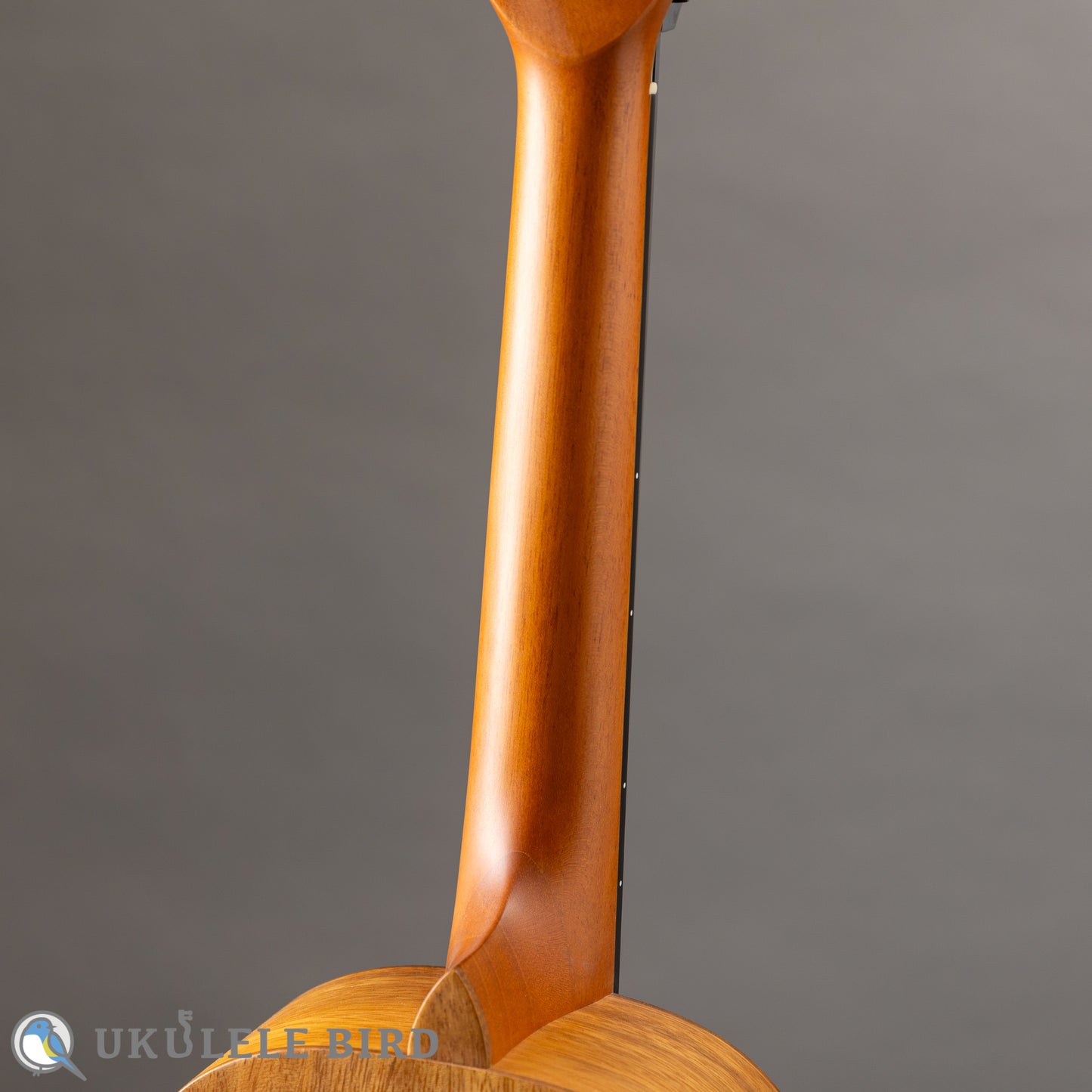 Pono AT Tenor Acacia