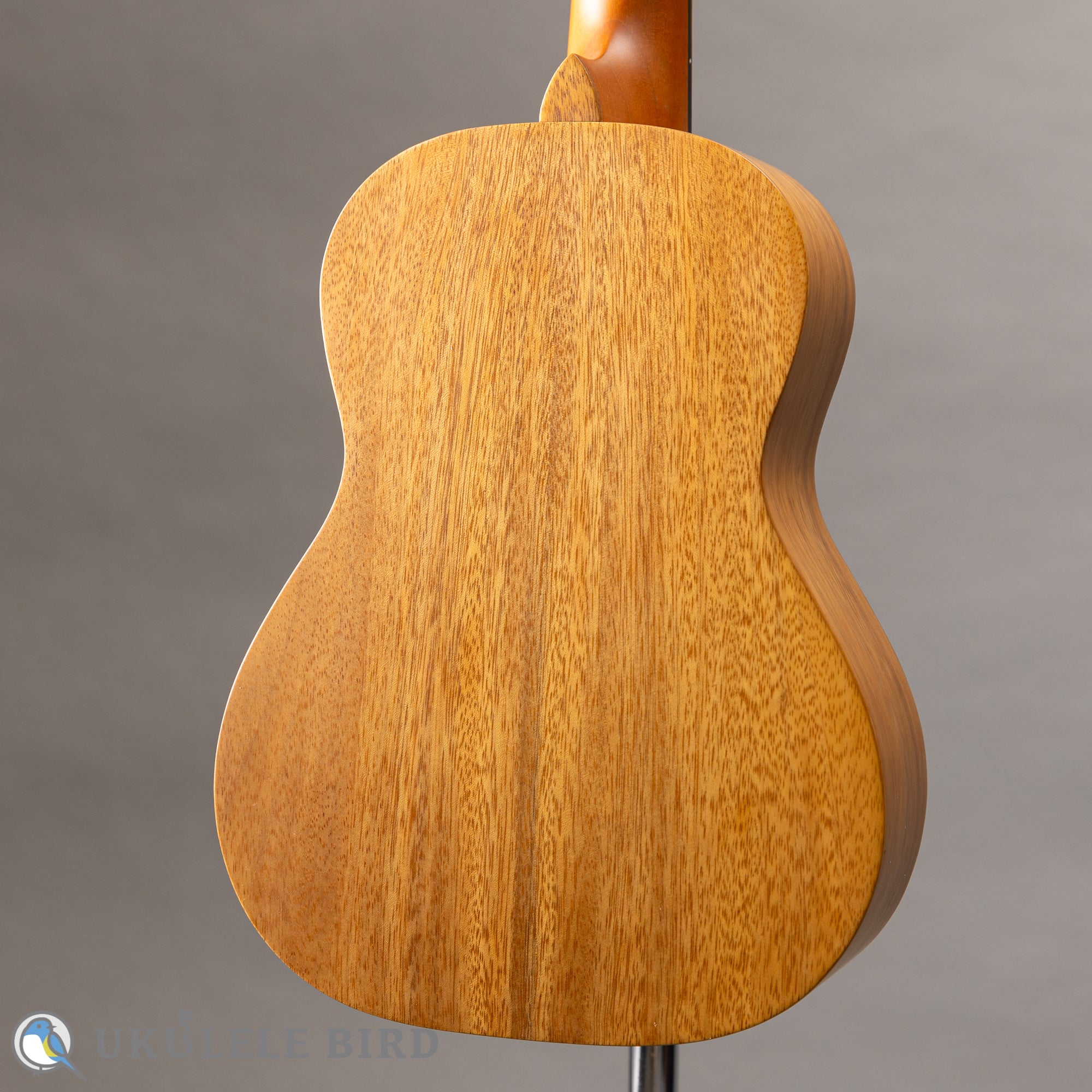 Pono AT Tenor Acacia – Ukulele Bird （株式会社ラストギター）