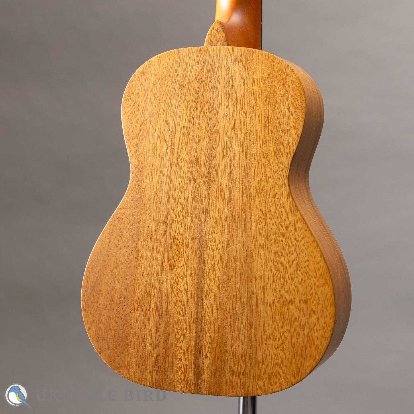 Pono AT Tenor Acacia