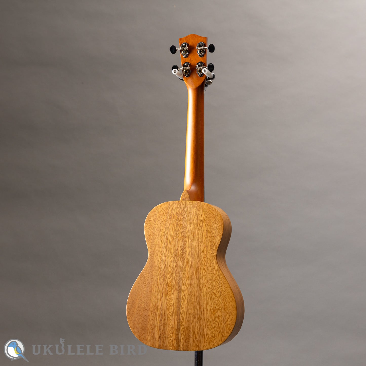 Pono AT Tenor Acacia