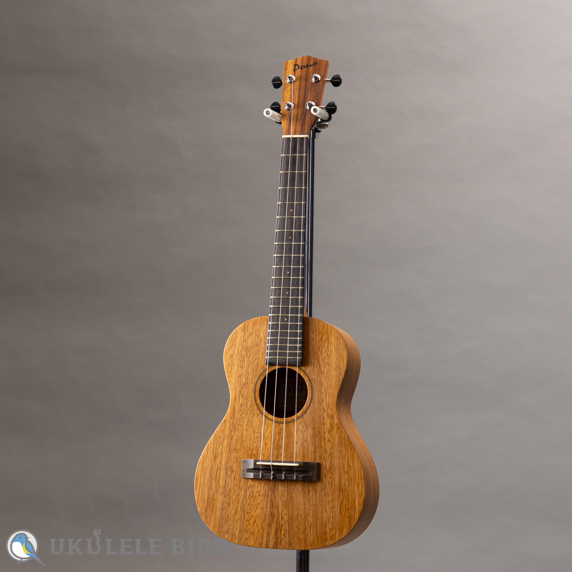Pono AT Tenor Acacia – Ukulele Bird （株式会社ラストギター）