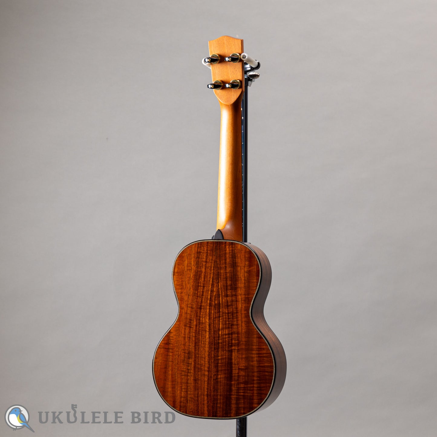 Pono MKC-MS Concert