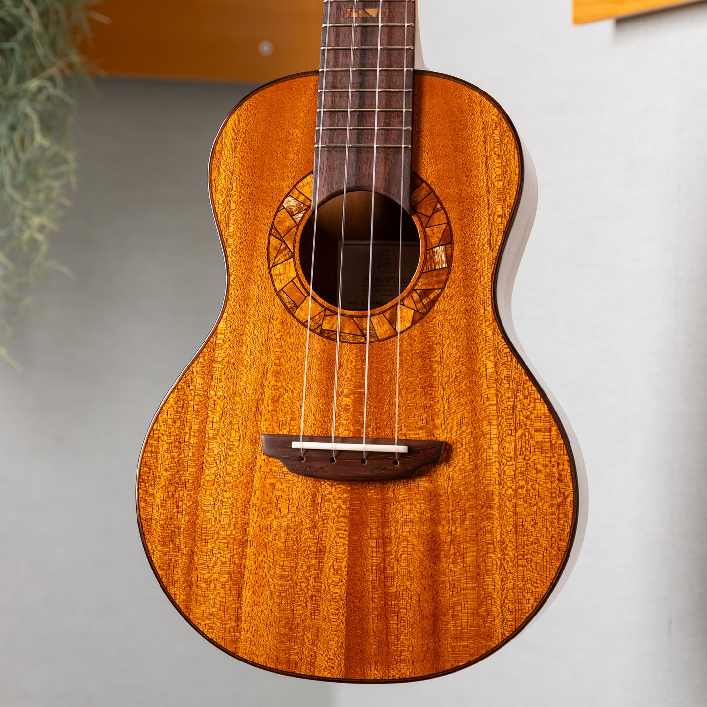 POROPORO UCX-MM