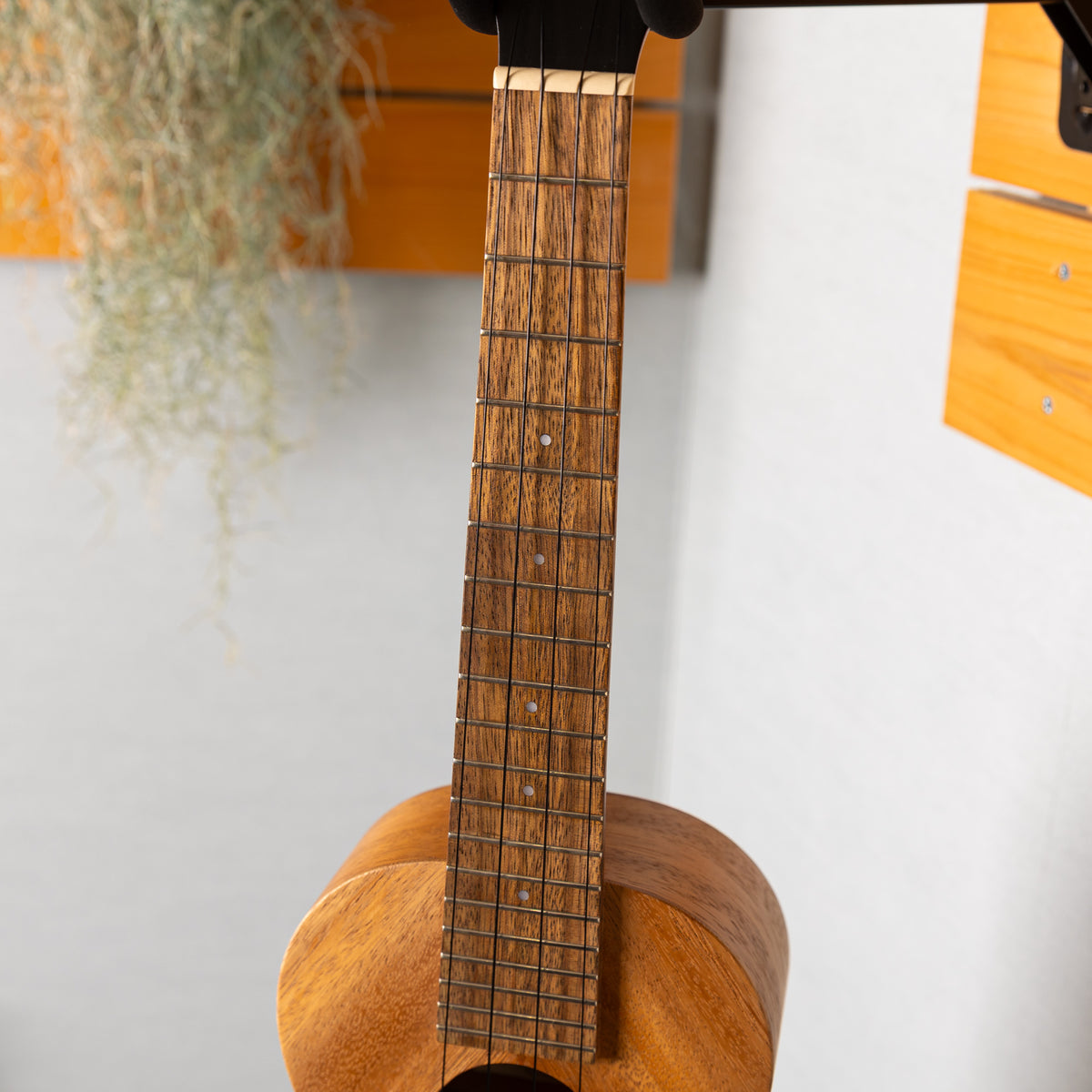 Pono AS-K
