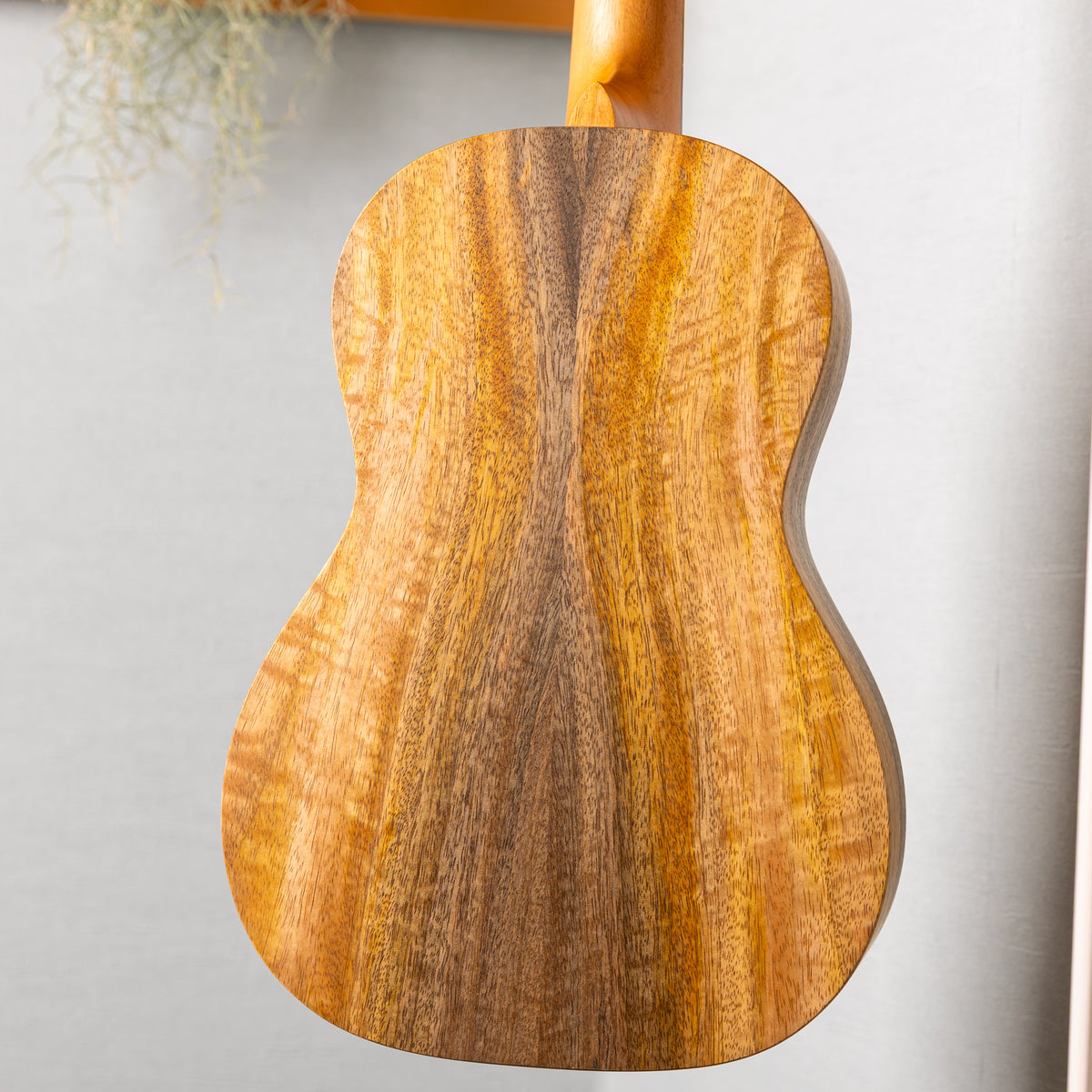 Pono MGB-K Baritone