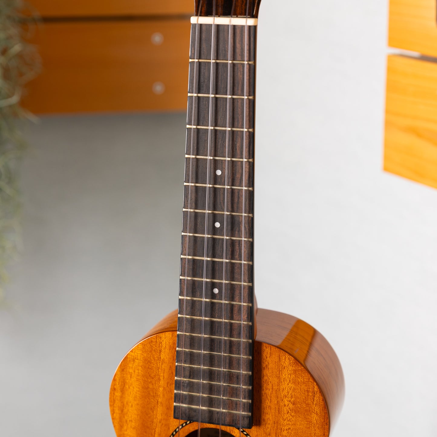Pono MSD Soprano