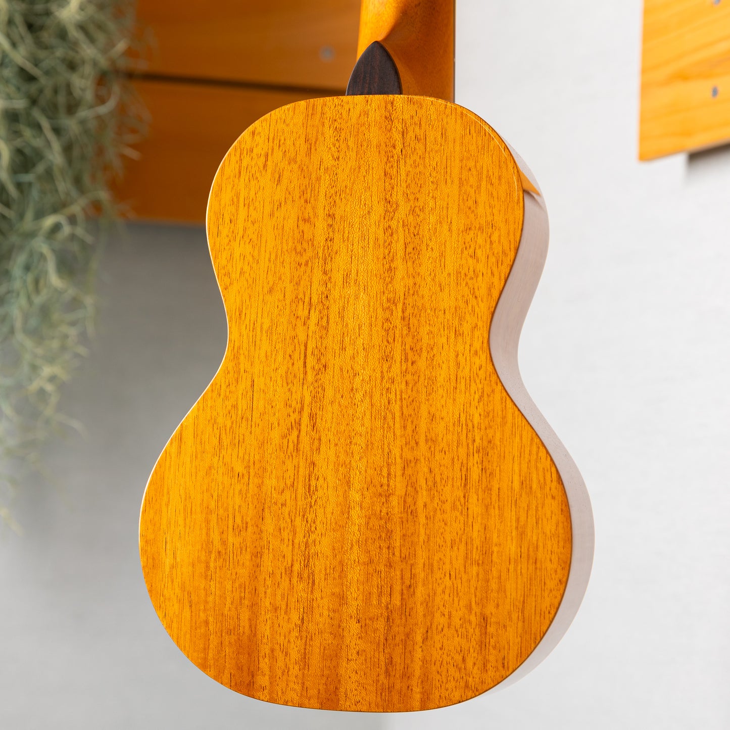 Pono MSD Soprano