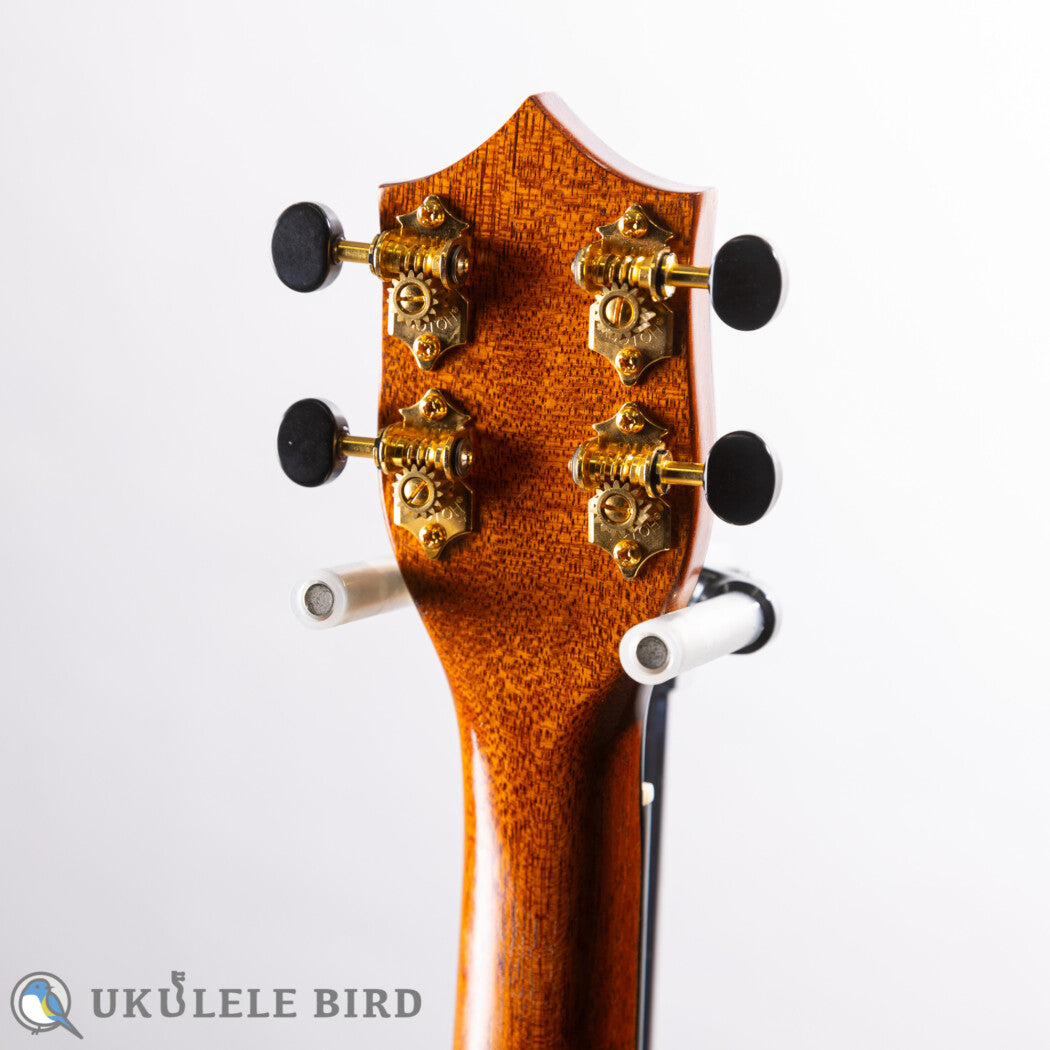 I'iwi Tenor Premium Series 3 Puka Koa &amp; Bubinga