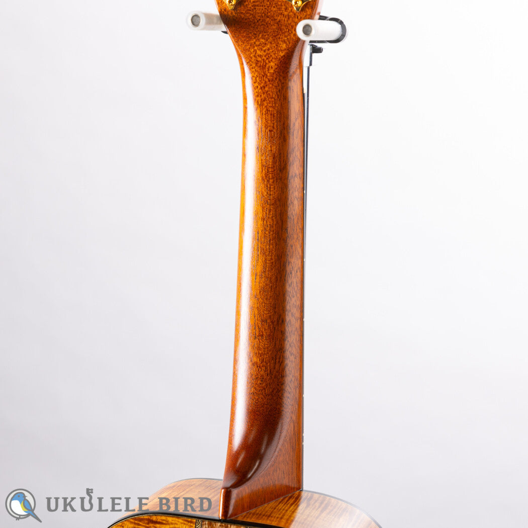 I'iwi Tenor Premium Series 3 Puka Koa &amp; Bubinga