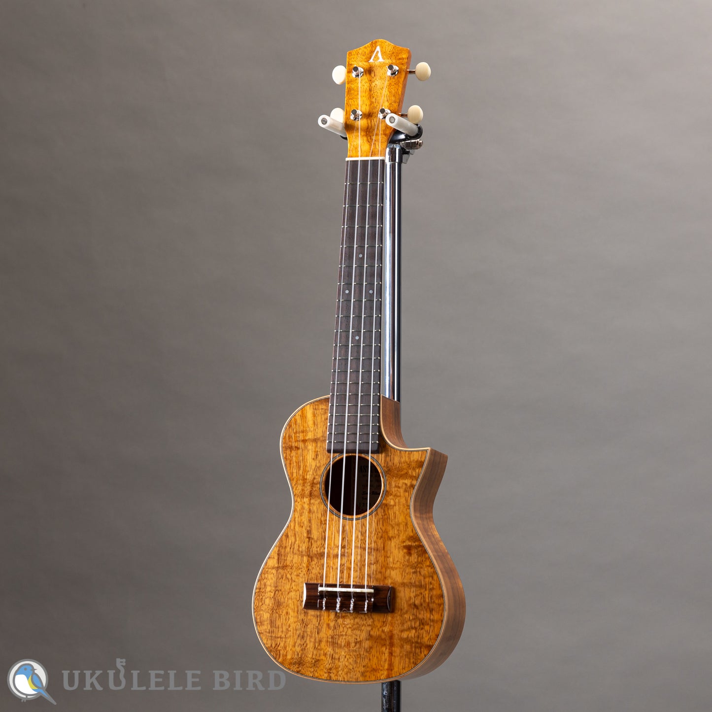 ASTURIAS Solo Ukulele Koa