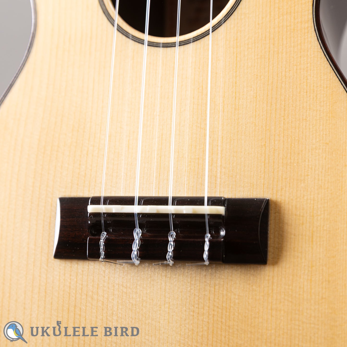 ASTURIAS Solo Ukulele Spuruce/Rosewood