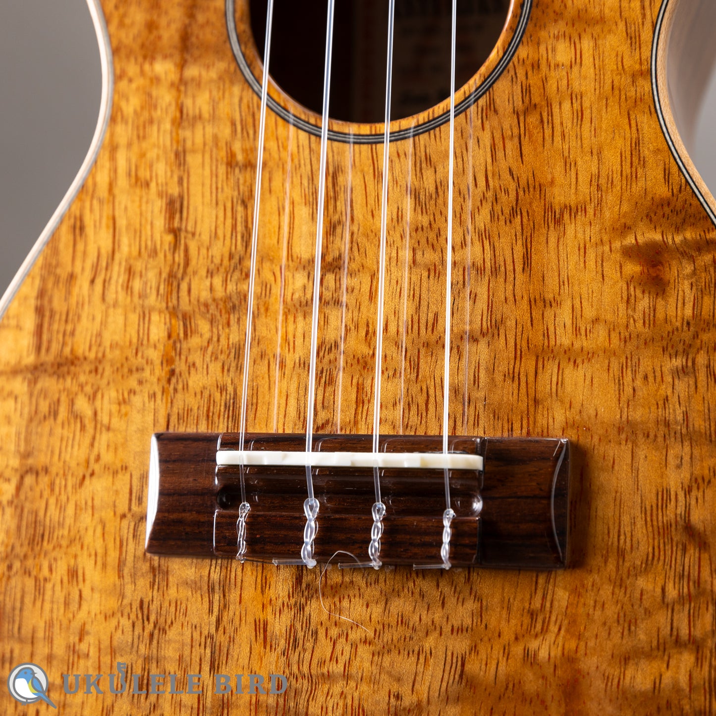 ASTURIAS Solo Ukulele Koa