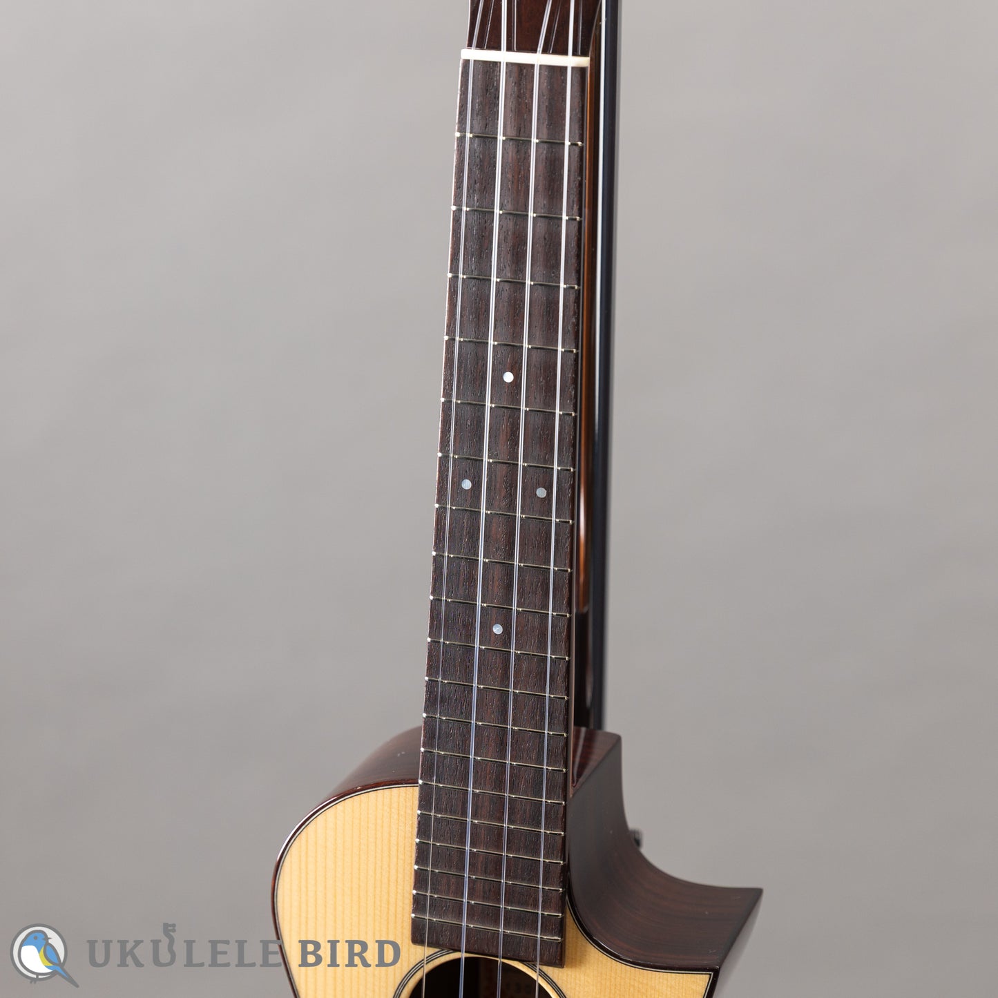 ASTURIAS Solo Ukulele Spuruce/Rosewood