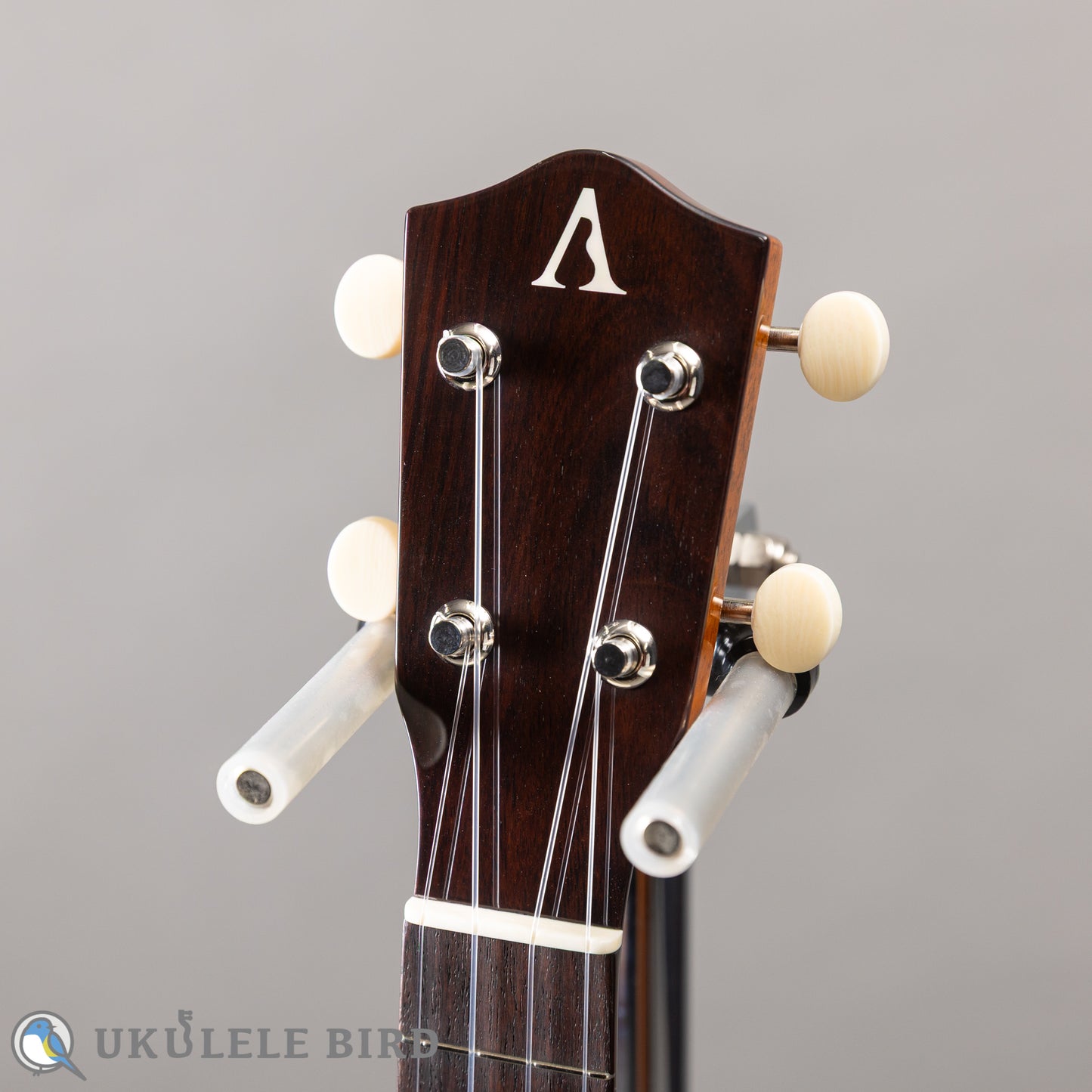 ASTURIAS Solo Ukulele Spuruce/Rosewood