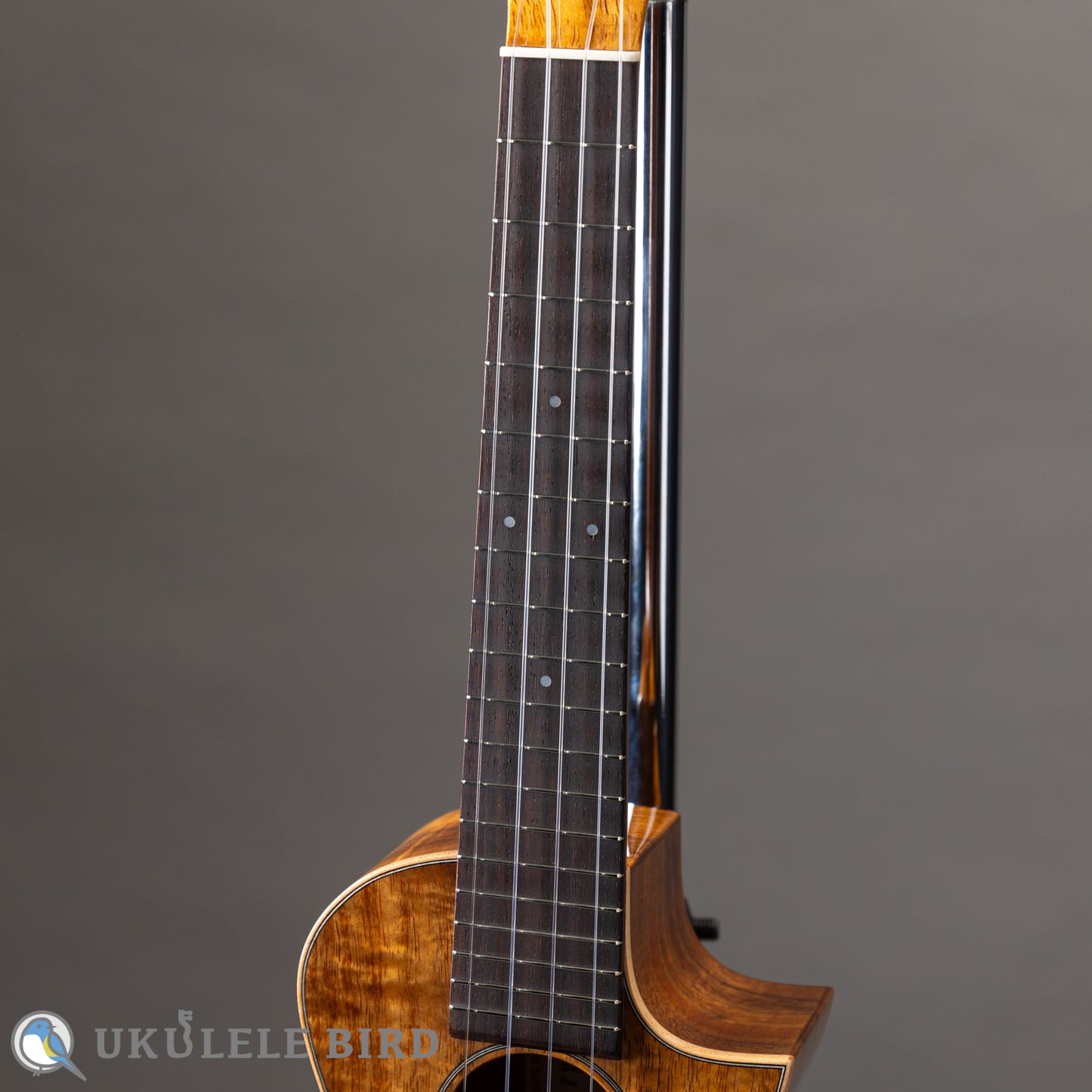 ASTURIAS Solo Ukulele Koa