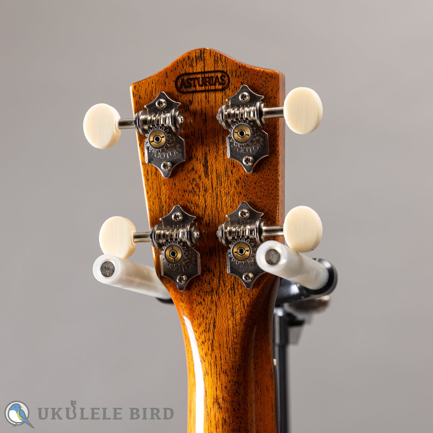 ASTURIAS Solo Ukulele Spuruce/Rosewood