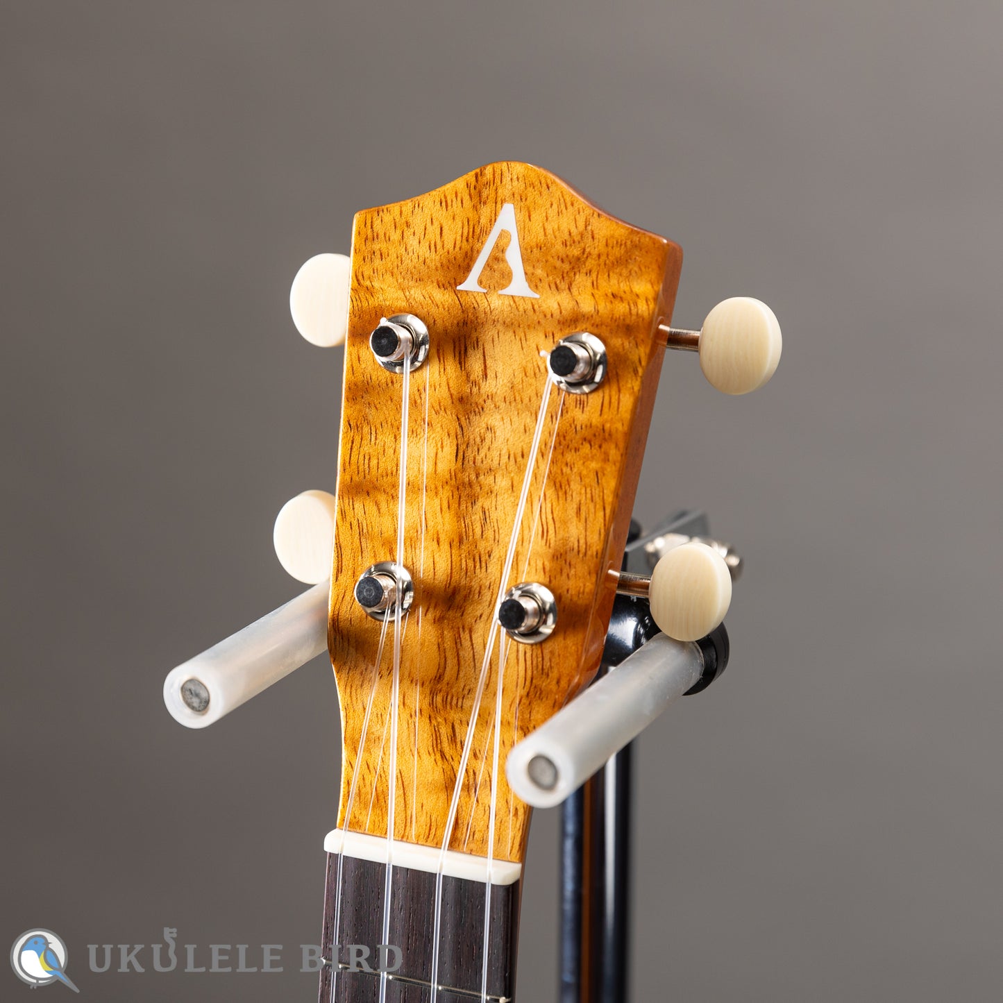 ASTURIAS Solo Ukulele Koa