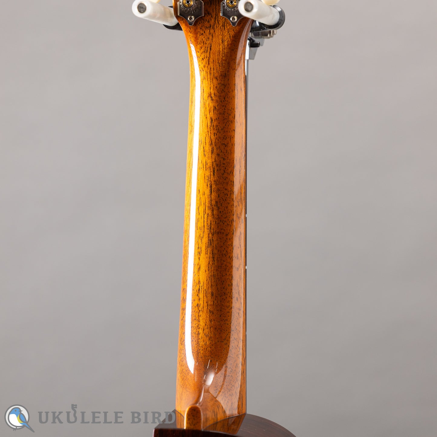 ASTURIAS Solo Ukulele Spuruce/Rosewood