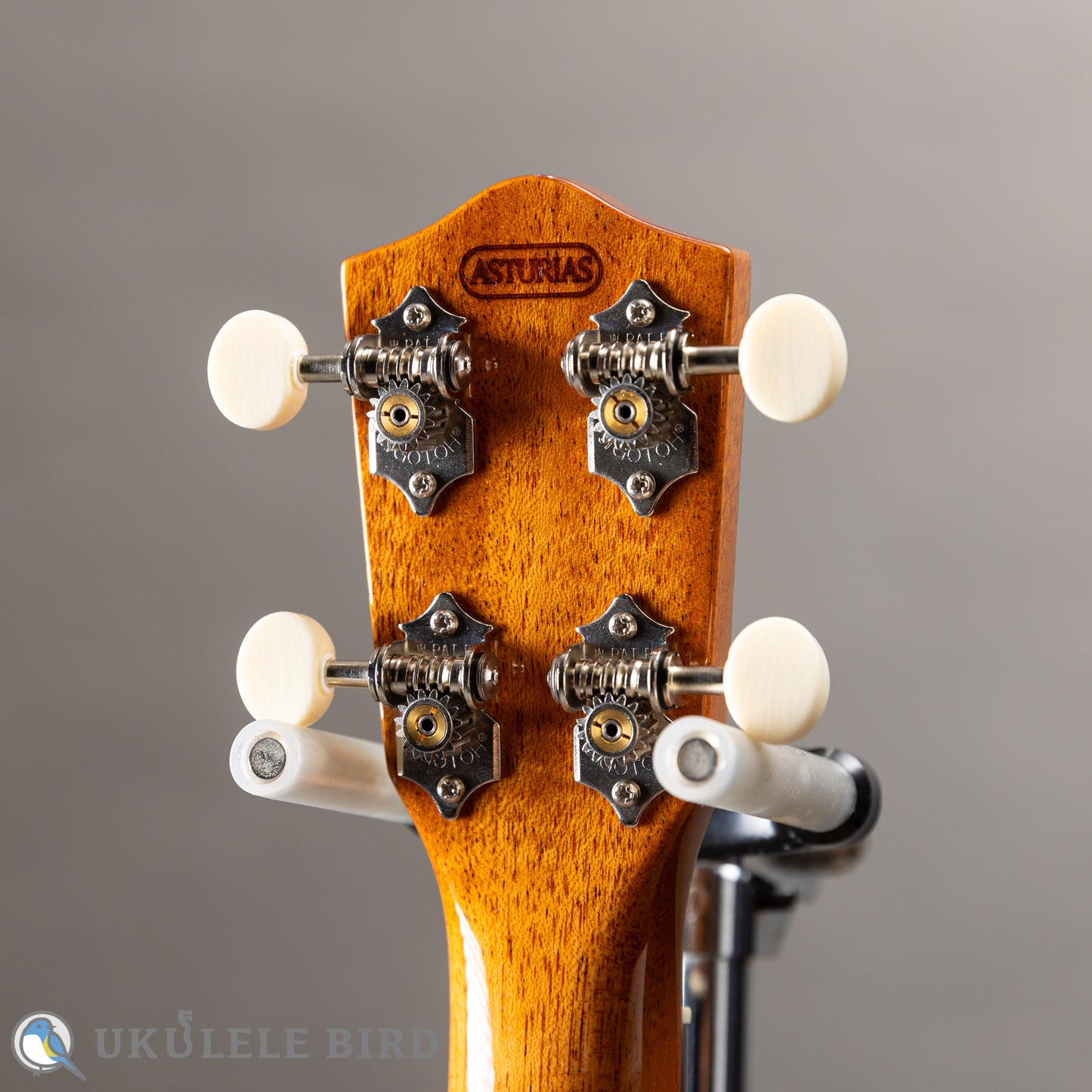 ASTURIAS Solo Ukulele Koa