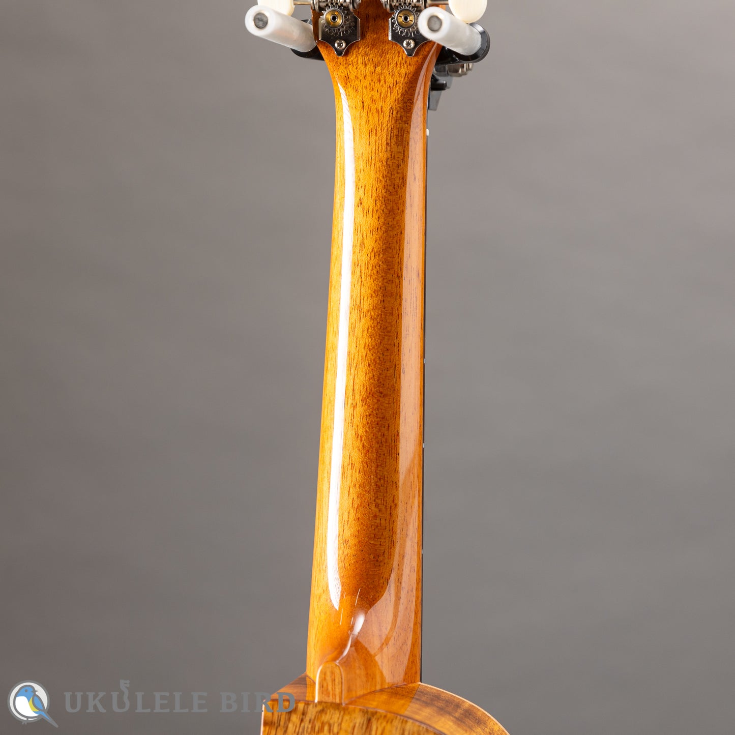 ASTURIAS Solo Ukulele Koa