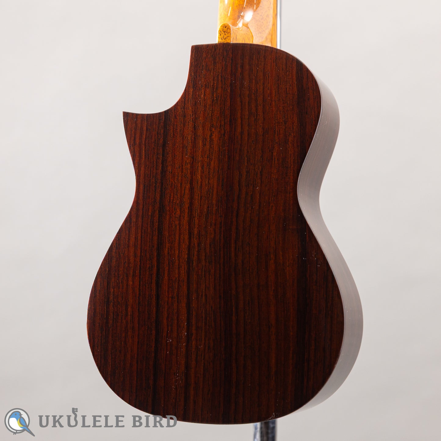 ASTURIAS Solo Ukulele Spuruce/Rosewood