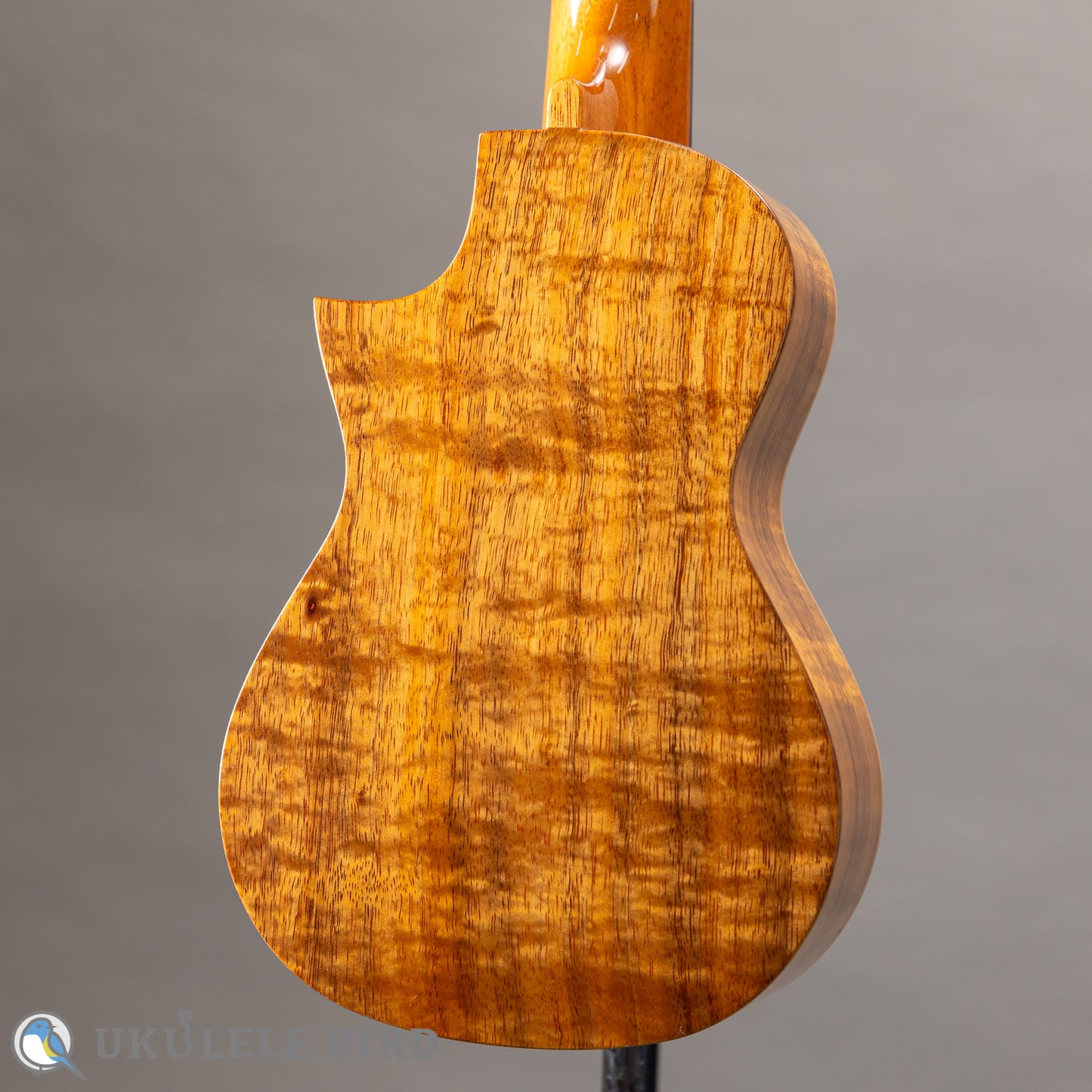 ASTURIAS Solo Ukulele Koa